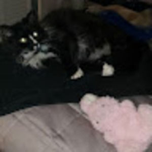 Meet your Posher, Marlena